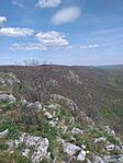 20260419_140901.jpg