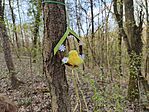 GCGN26_20260403_163131