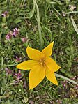 IMG_20260406_114643