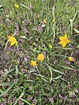 IMG_20260406_113949
