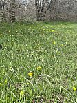 IMG_20260406_113603