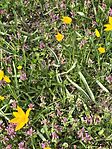 IMG_20260406_113554
