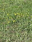 IMG_20260406_113506