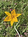 IMG_20260406_113457