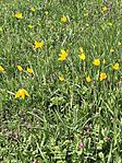 IMG_20260406_113444