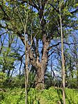IMG_20260411_112241