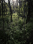 IMG_20260406_Csepeli-kiserdo