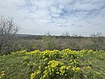 IMG_4256
