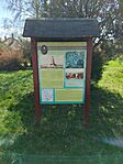 IMG_20260404_131237