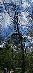 IMG_20260409_134733