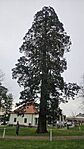 2026-04-03 09.30.29 - Slatina