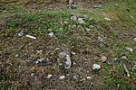 DSC05430