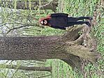 20260404_133502.jpg