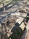 IMG_20260411_142607
