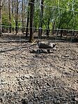 IMG_20260411_144133