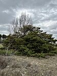 IMG_4826