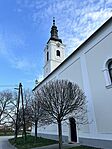 IMG_4654