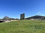 IMG_5040