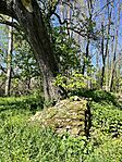 IMG_5033