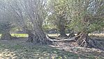 20260407_133919