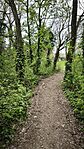 IMG_20260409_091834