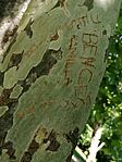 IMG_20260514_123106