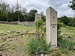 IMG_9006