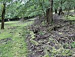 IMG_9009