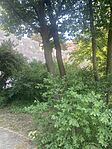 IMG_3146