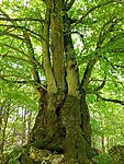 IMG_20260519_141301485_MFNR