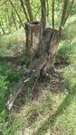log-image-1779529690336-2