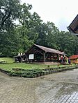 IMG_2496