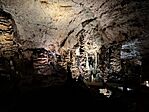 20260501_175506(1)