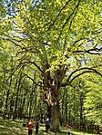 20260503_121153(1)