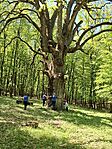20260503_121211(1)