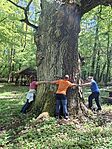 20260503_121305(1)
