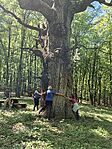 20260503_121225(1)