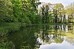 IMG_20260501_084327