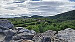 IMG_20260512_092419
