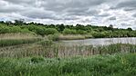 IMG_20260512_114147