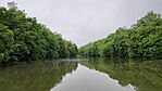 IMG_20260512_175617