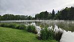 IMG_20260512_180346