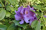 IMG_20260513_161540
