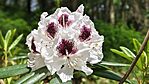 IMG_20260515_110850