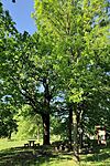 IMG_20260514_072741