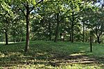 IMG_20260514_071806