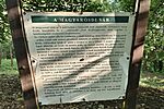 IMG_20260514_071842