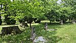 IMG_20260514_125901
