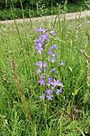 IMG_20260514_142741