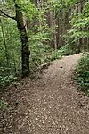 IMG_20260514_144218